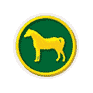 Welsh Pony & Cob Society